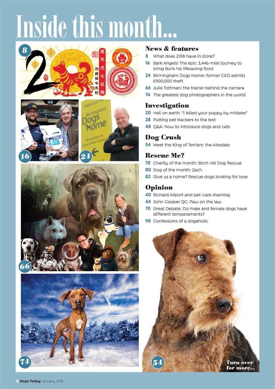 Dogs Today Magazine Preview Pages