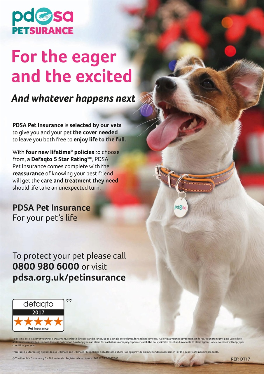 Dogs Today Magazine Preview Pages