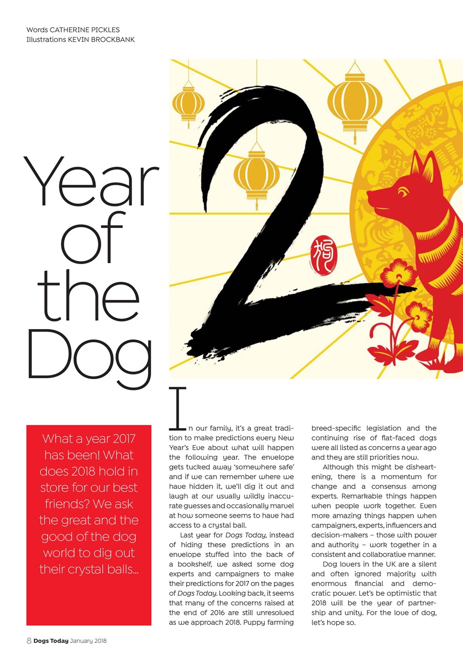 Dogs Today Magazine Preview Pages