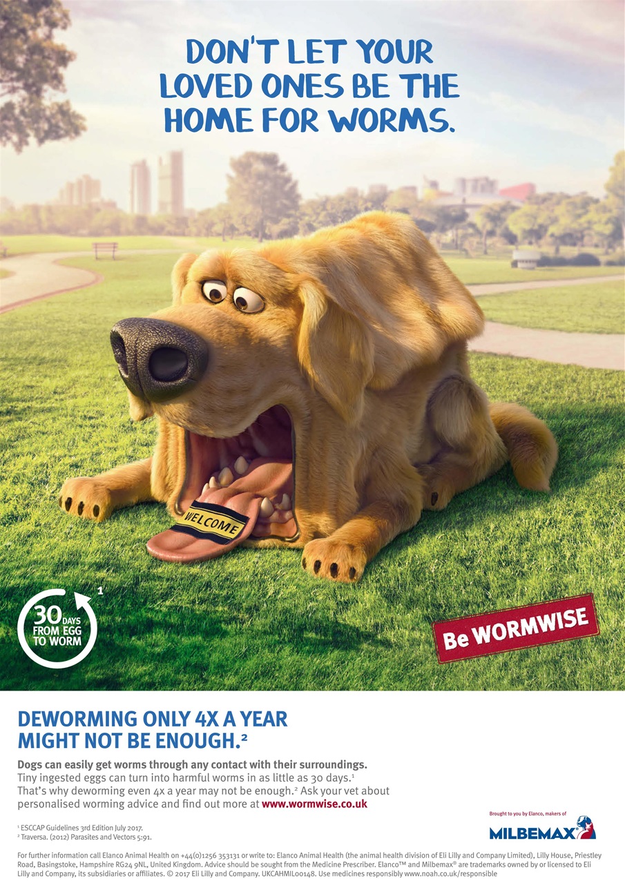 Dogs Monthly Preview Pages