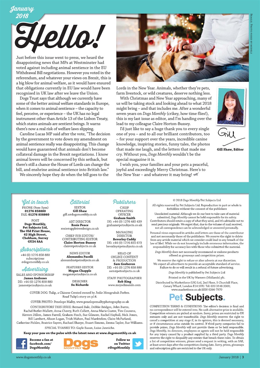 Dogs Monthly Preview Pages