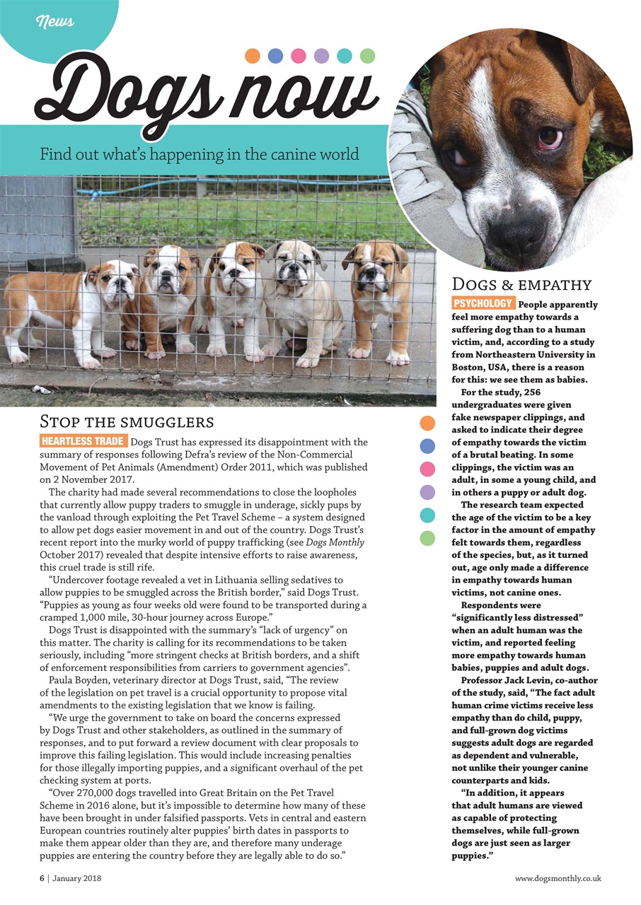 Dogs Monthly Preview Pages