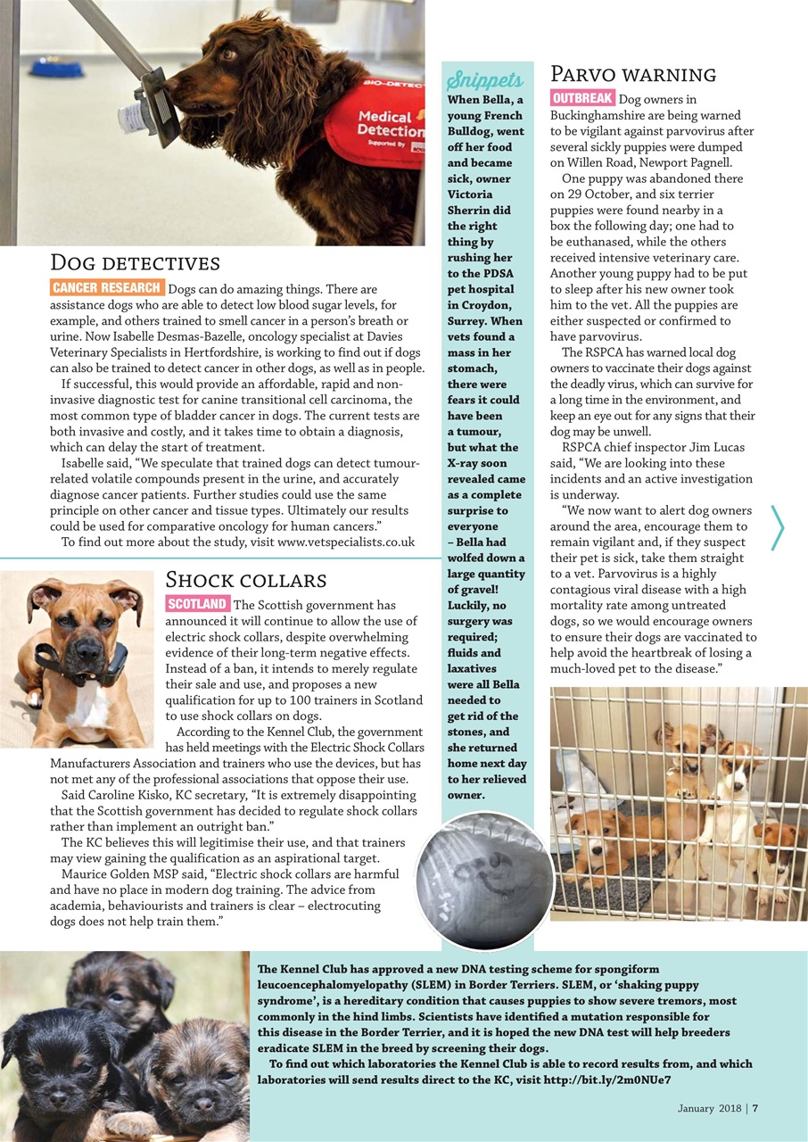 Dogs Monthly Preview Pages