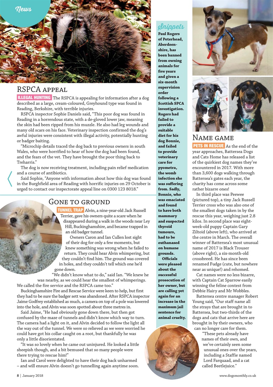 Dogs Monthly Preview Pages