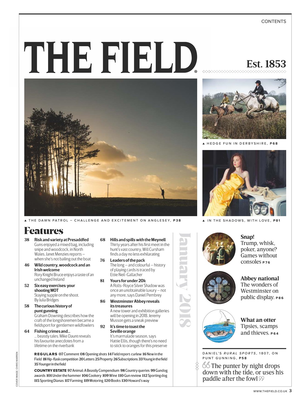 The Field Preview Pages
