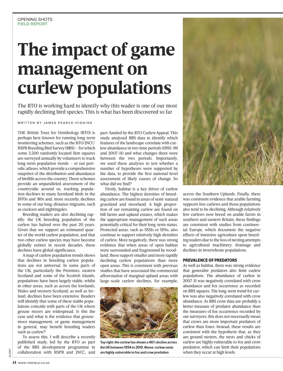 The Field Preview Pages