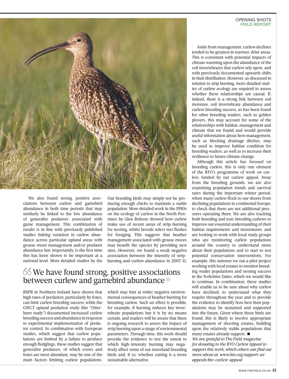 The Field Preview Pages