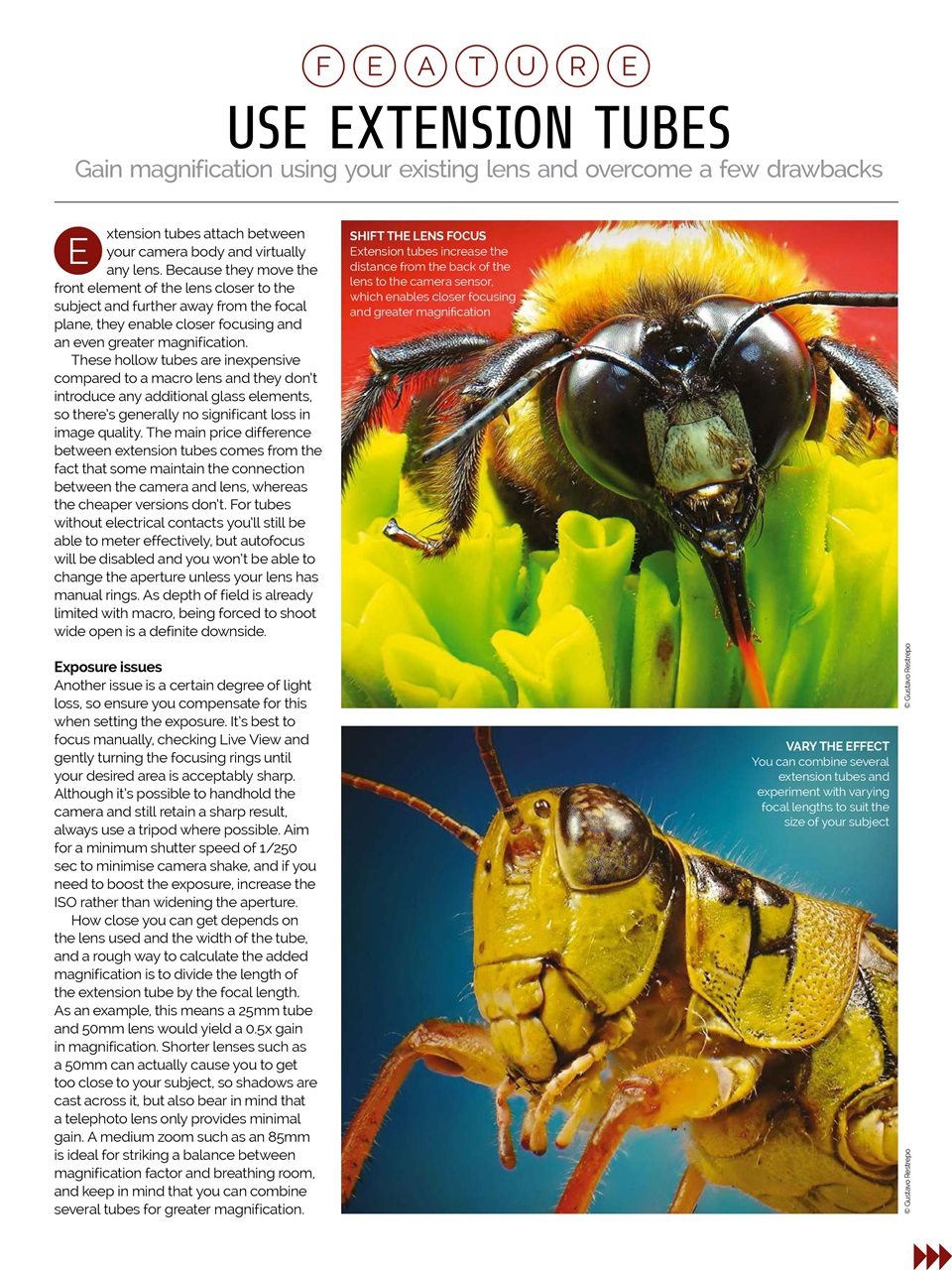 Photography Week Preview Pages