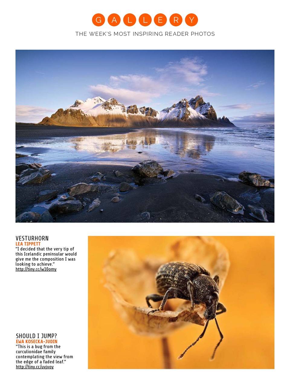 Photography Week Preview Pages