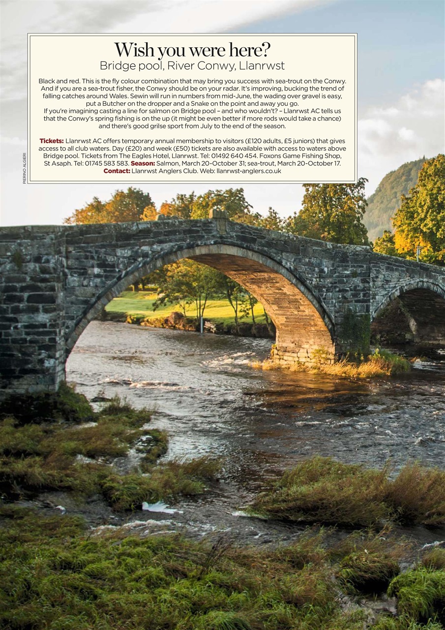 Trout & Salmon Preview Pages