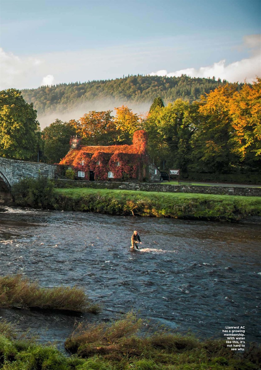 Trout & Salmon Preview Pages