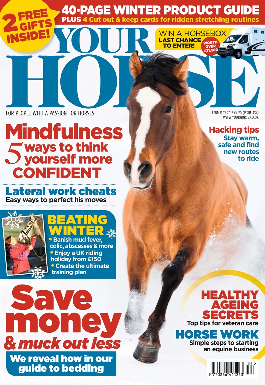 Your Horse Preview Pages