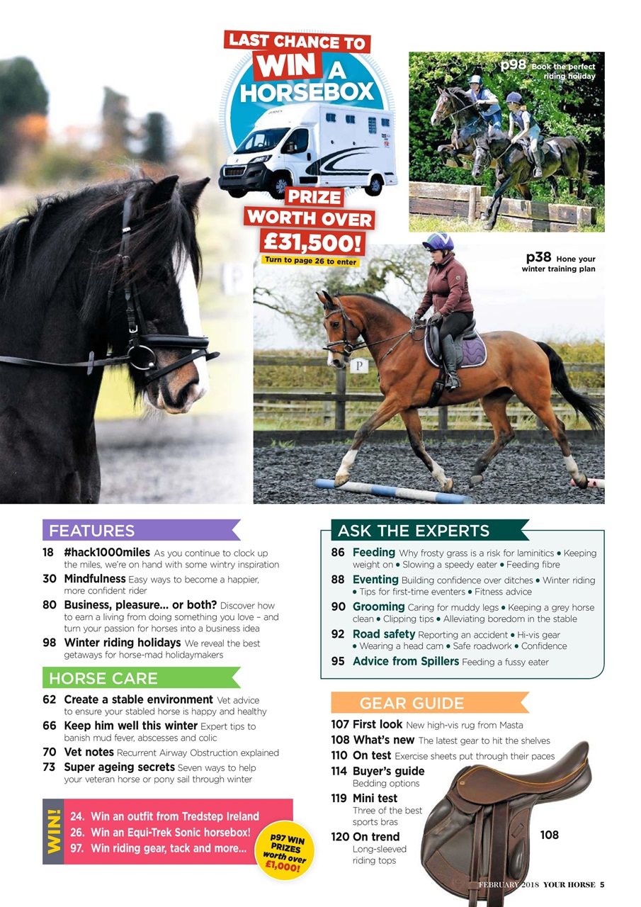 Your Horse Preview Pages