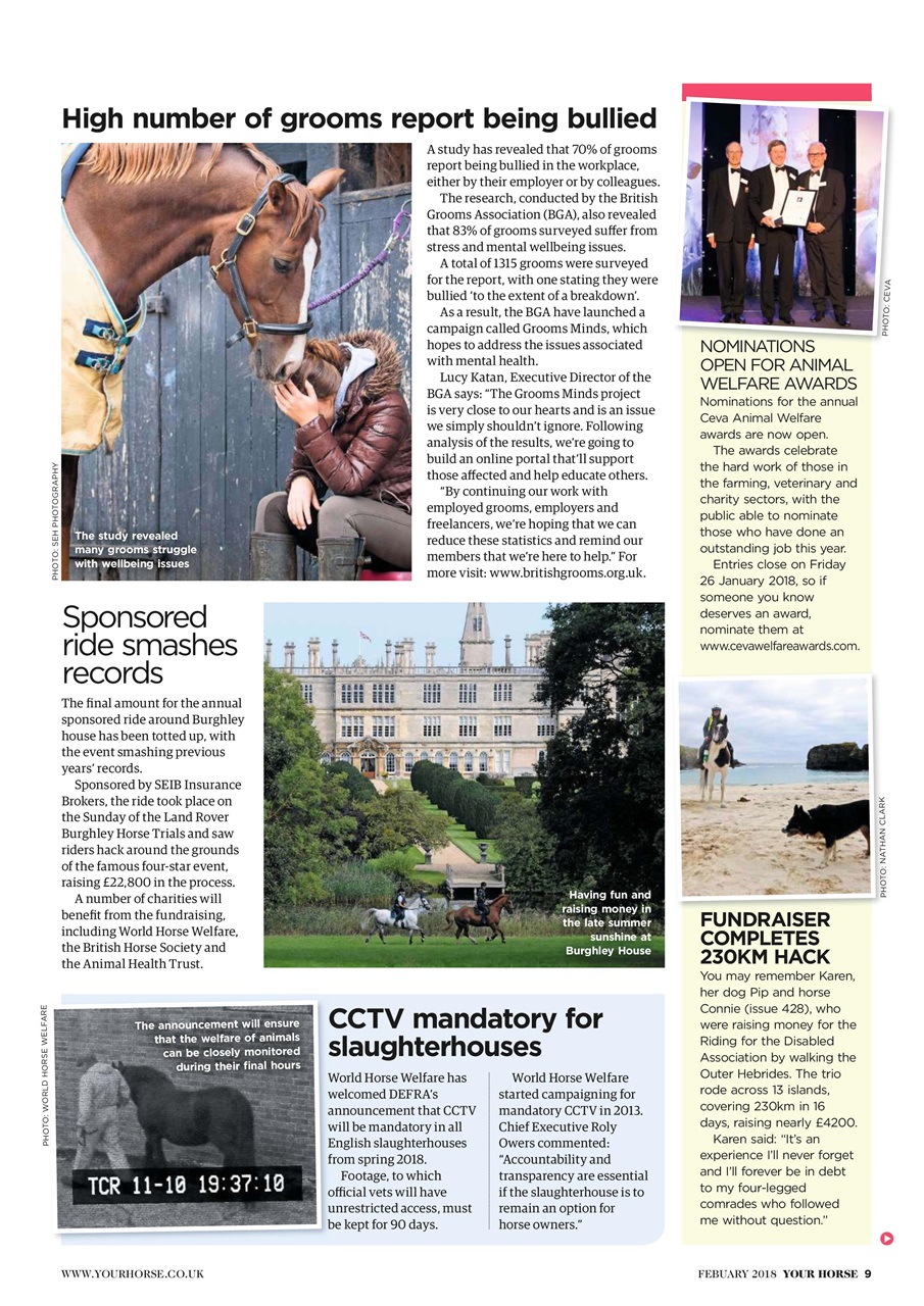 Your Horse Preview Pages