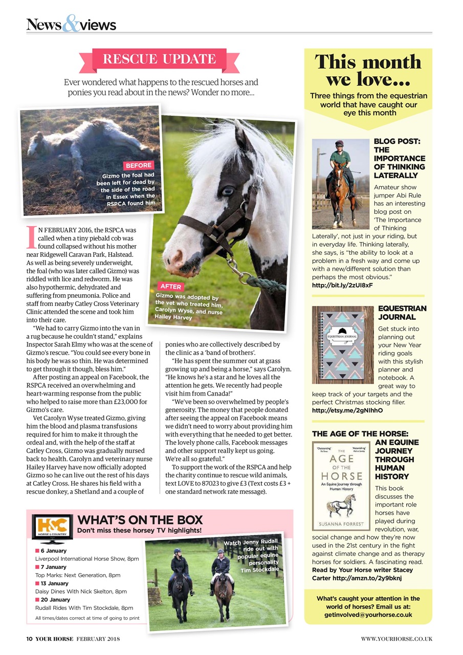 Your Horse Preview Pages