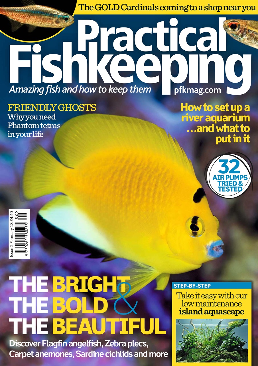 Practical Fishkeeping Preview Pages