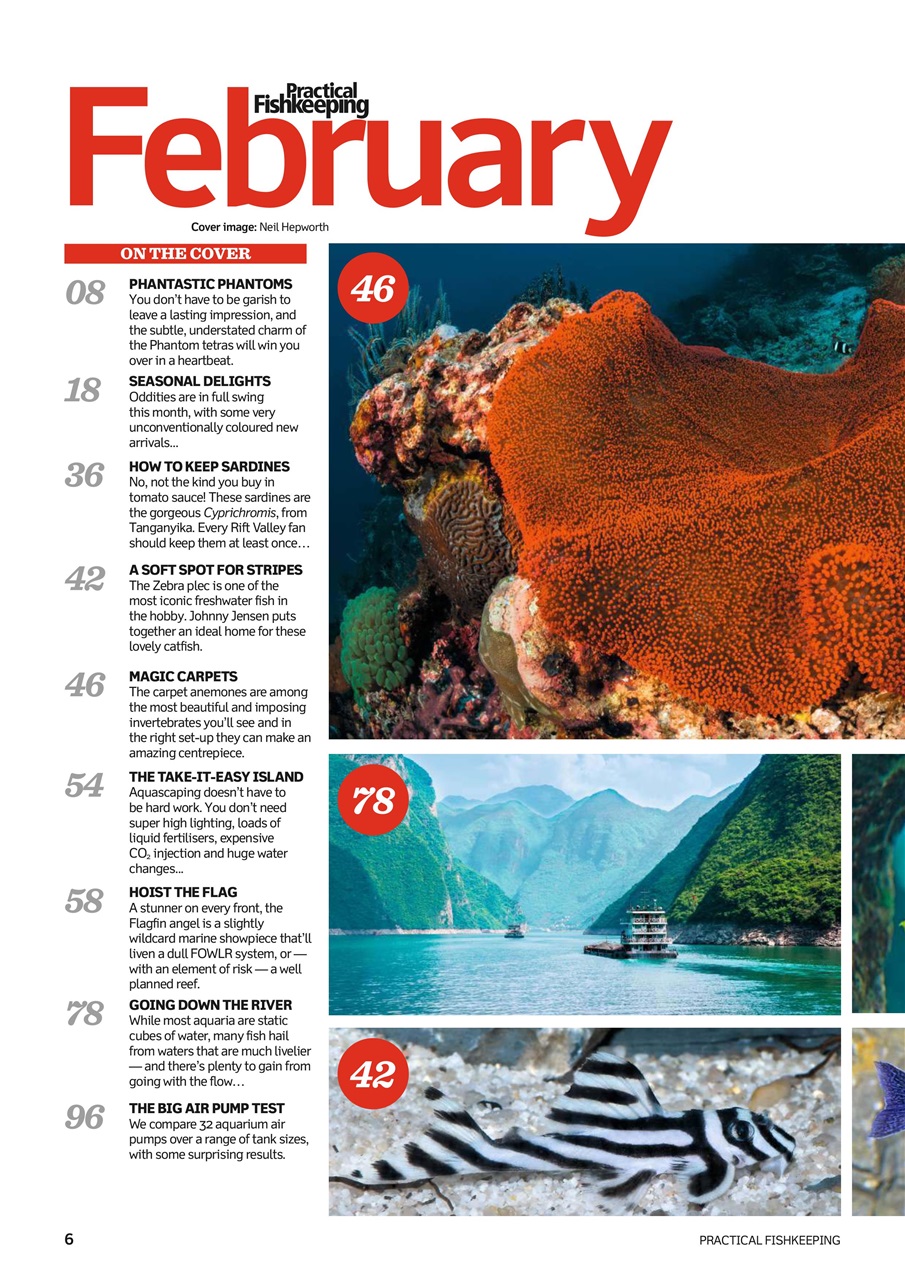 Practical Fishkeeping Preview Pages