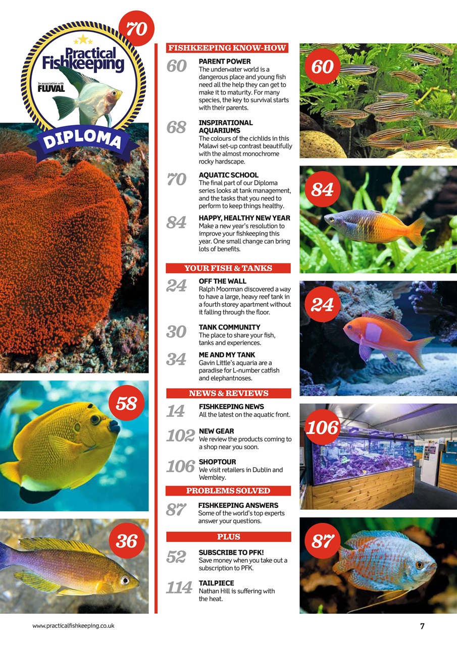 Practical Fishkeeping Preview Pages