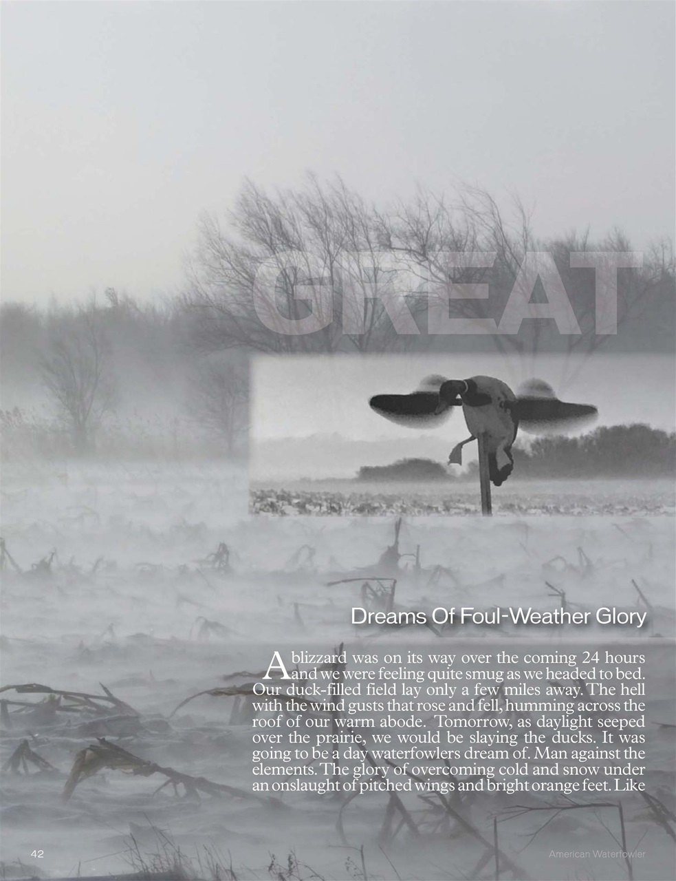 American Waterfowler Preview Pages