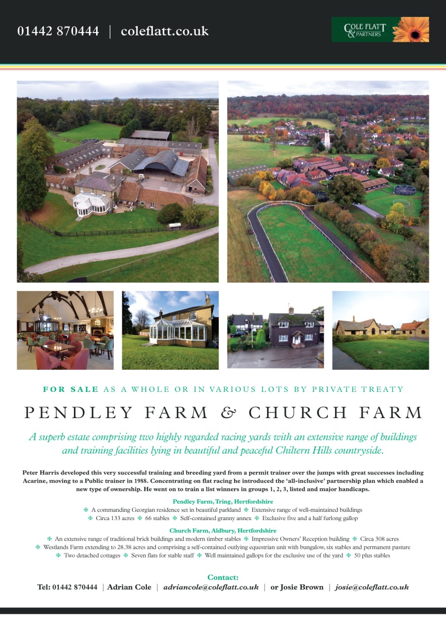 The Owner Breeder Preview Pages