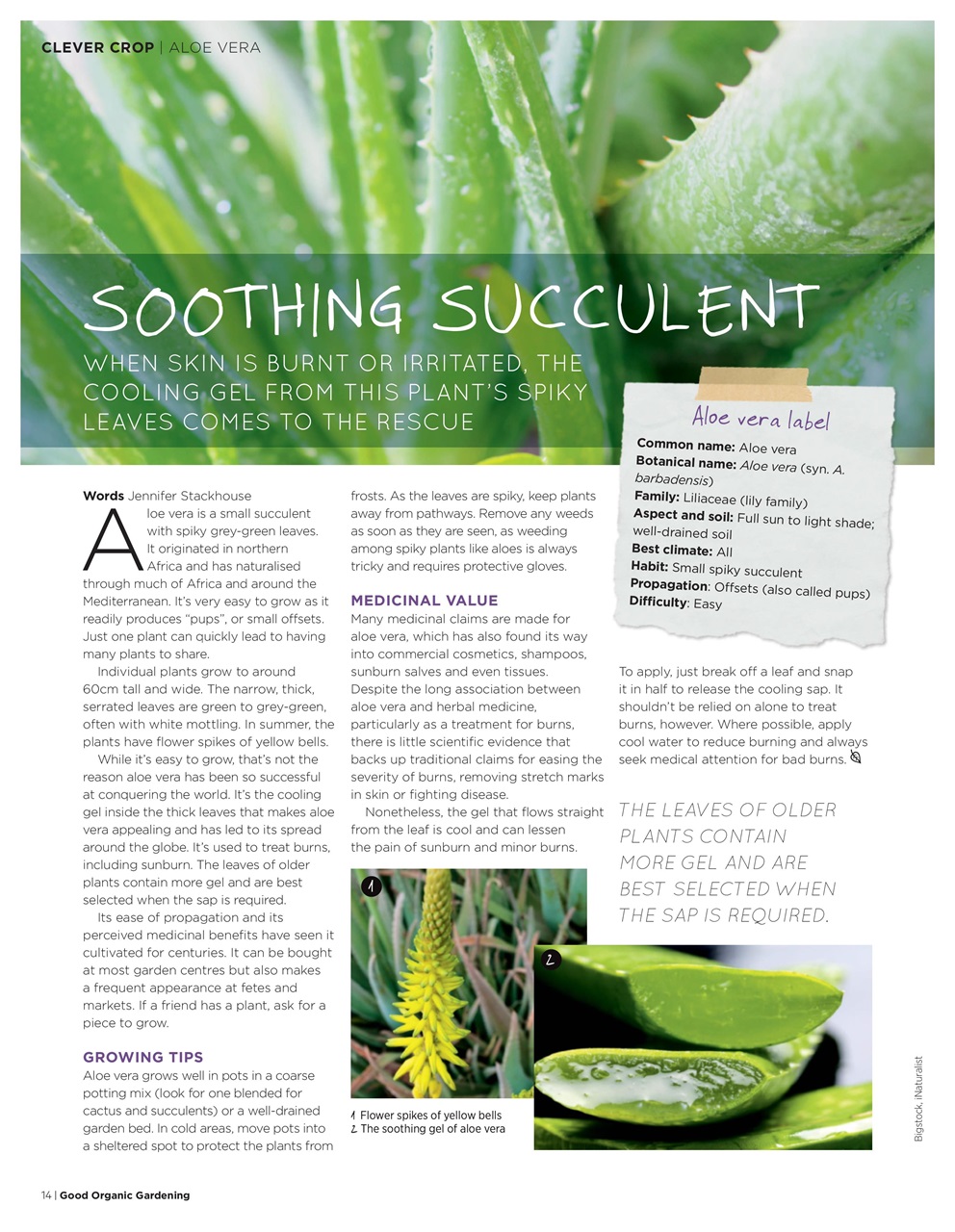 Good Organic Gardening Preview Pages