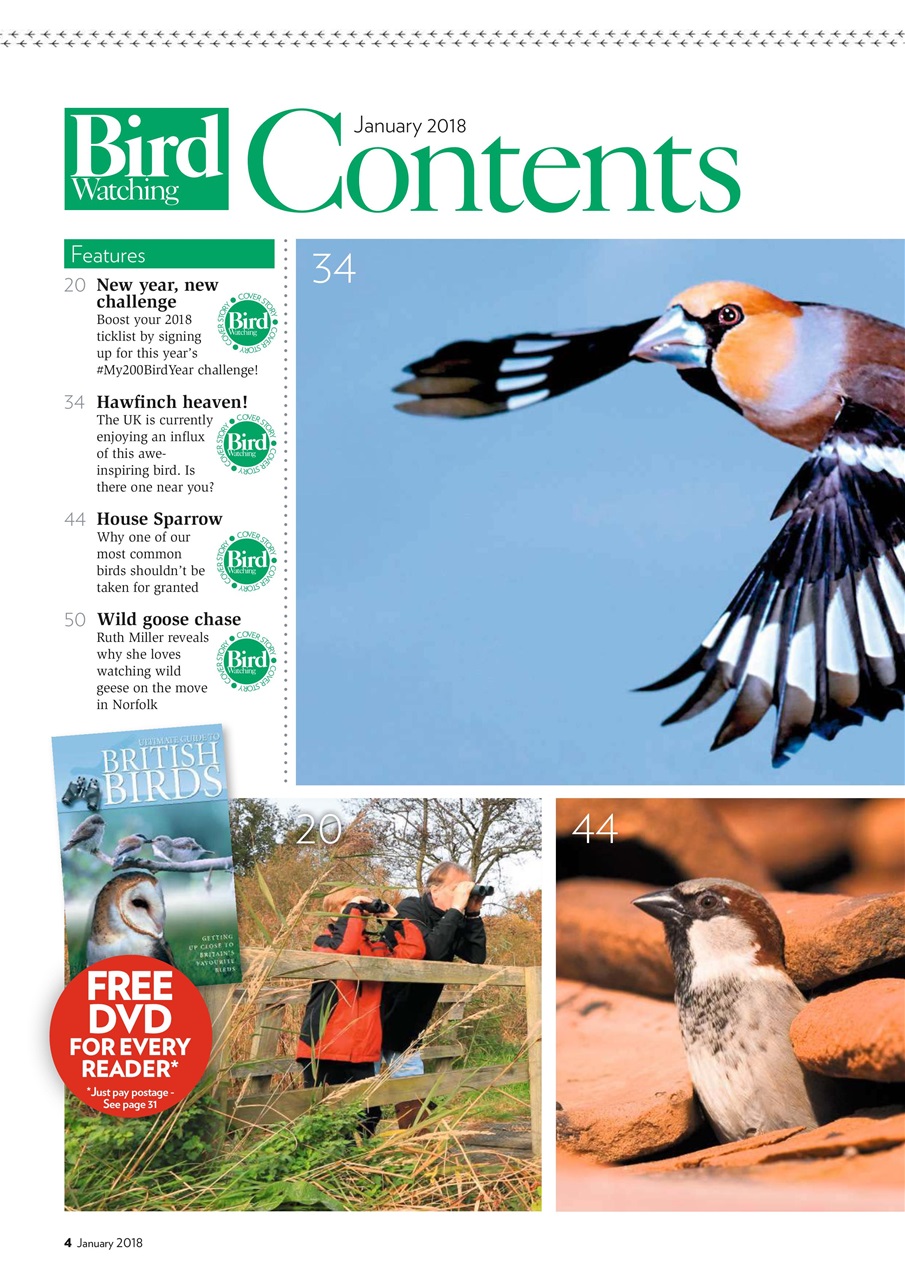 Bird Watching Preview Pages