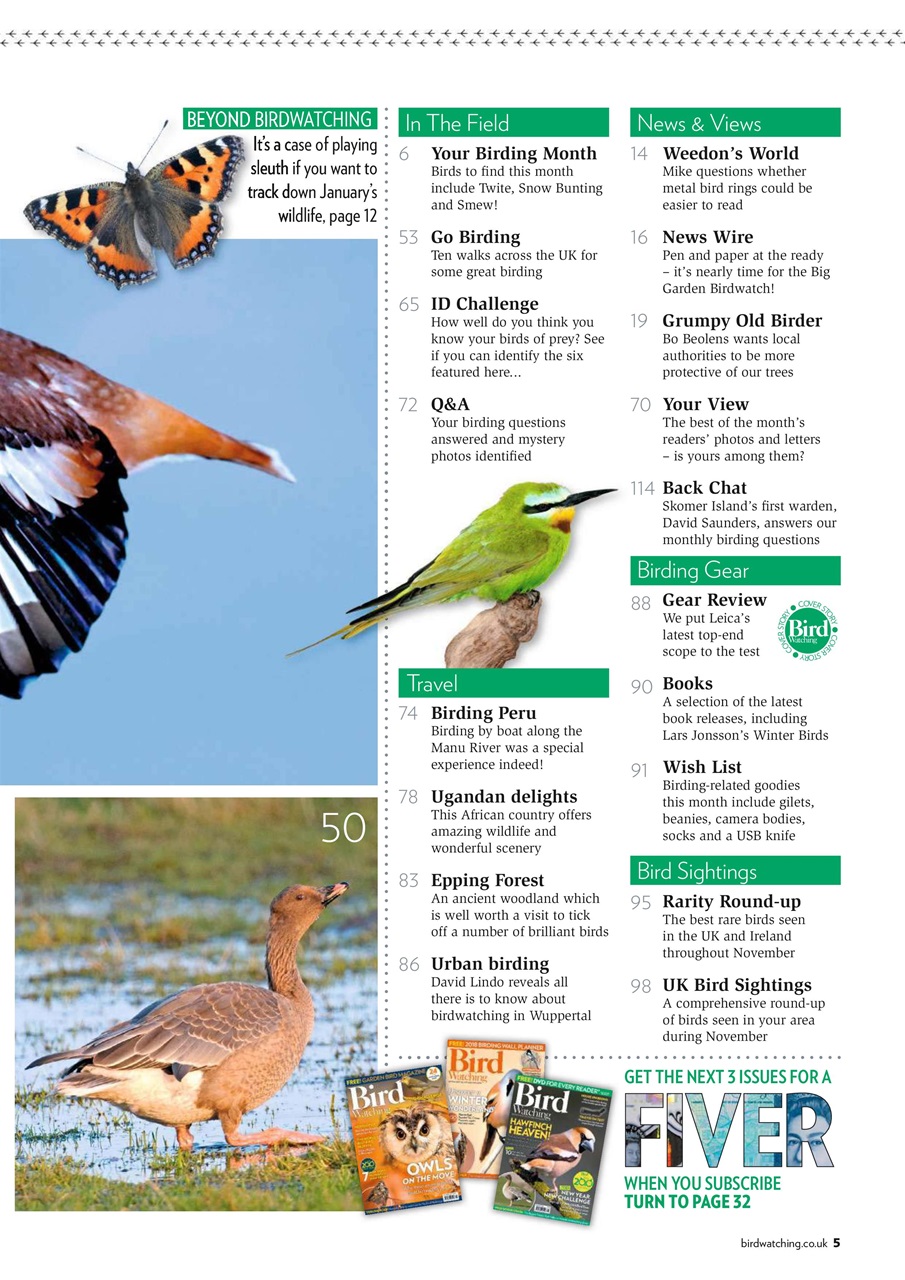 Bird Watching Preview Pages