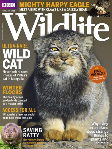BBC Wildlife Magazine issue 