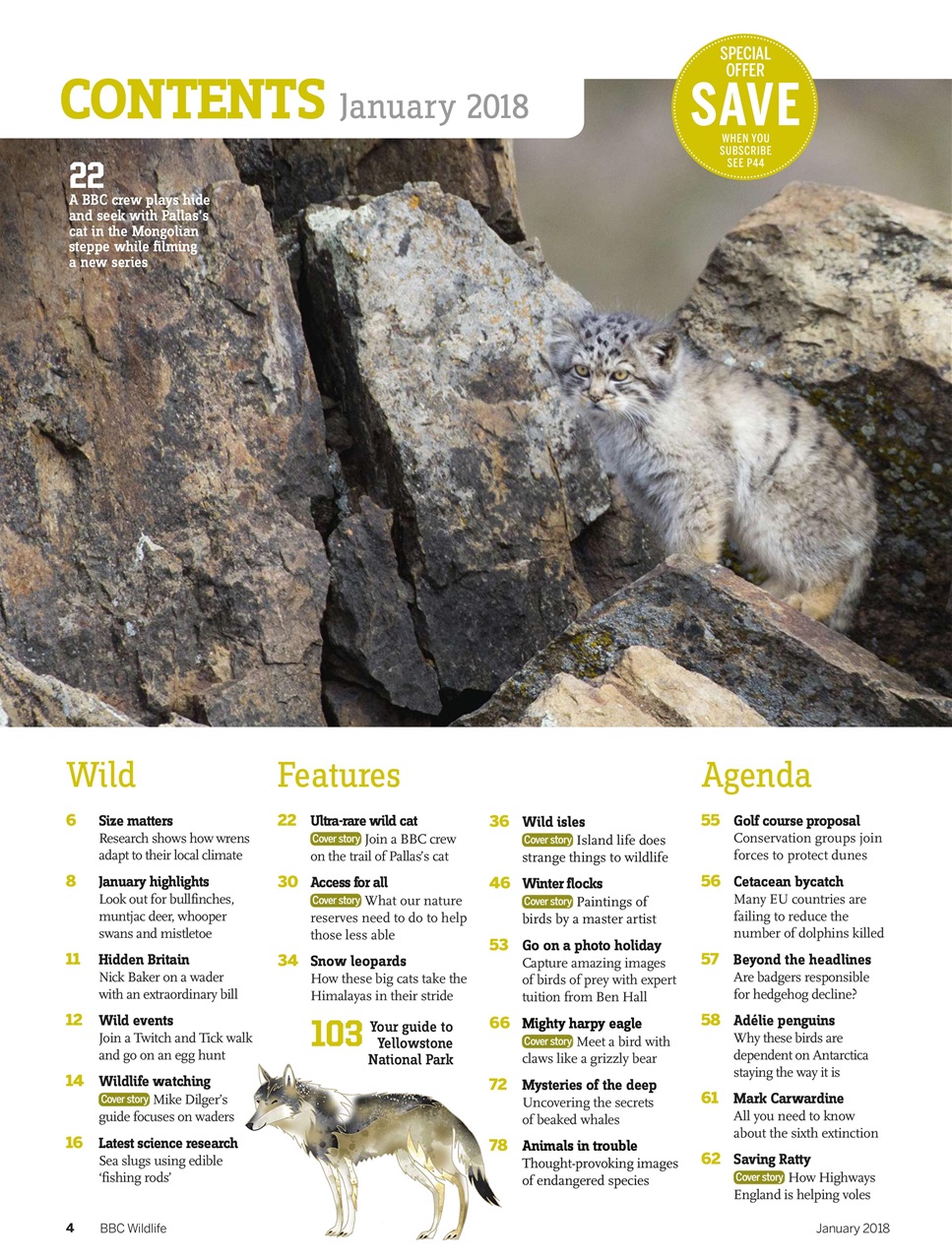 BBC Wildlife Magazine Preview Pages