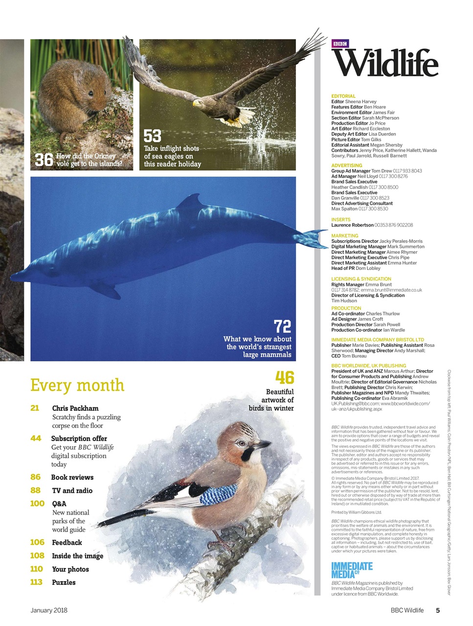 BBC Wildlife Magazine Preview Pages