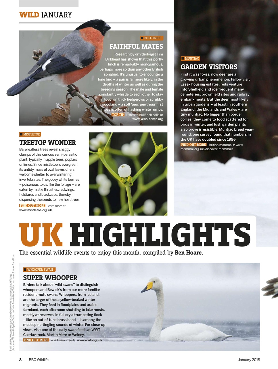 BBC Wildlife Magazine Preview Pages