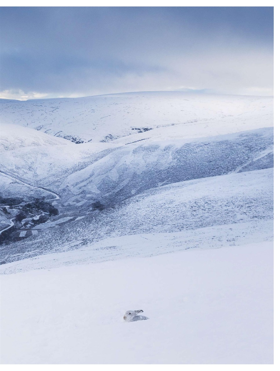 BBC Countryfile Magazine Preview Pages
