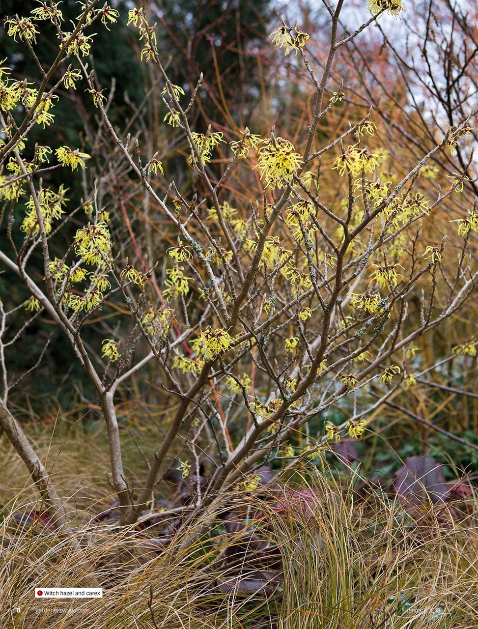 BBC Gardeners’ World Magazine Preview Pages