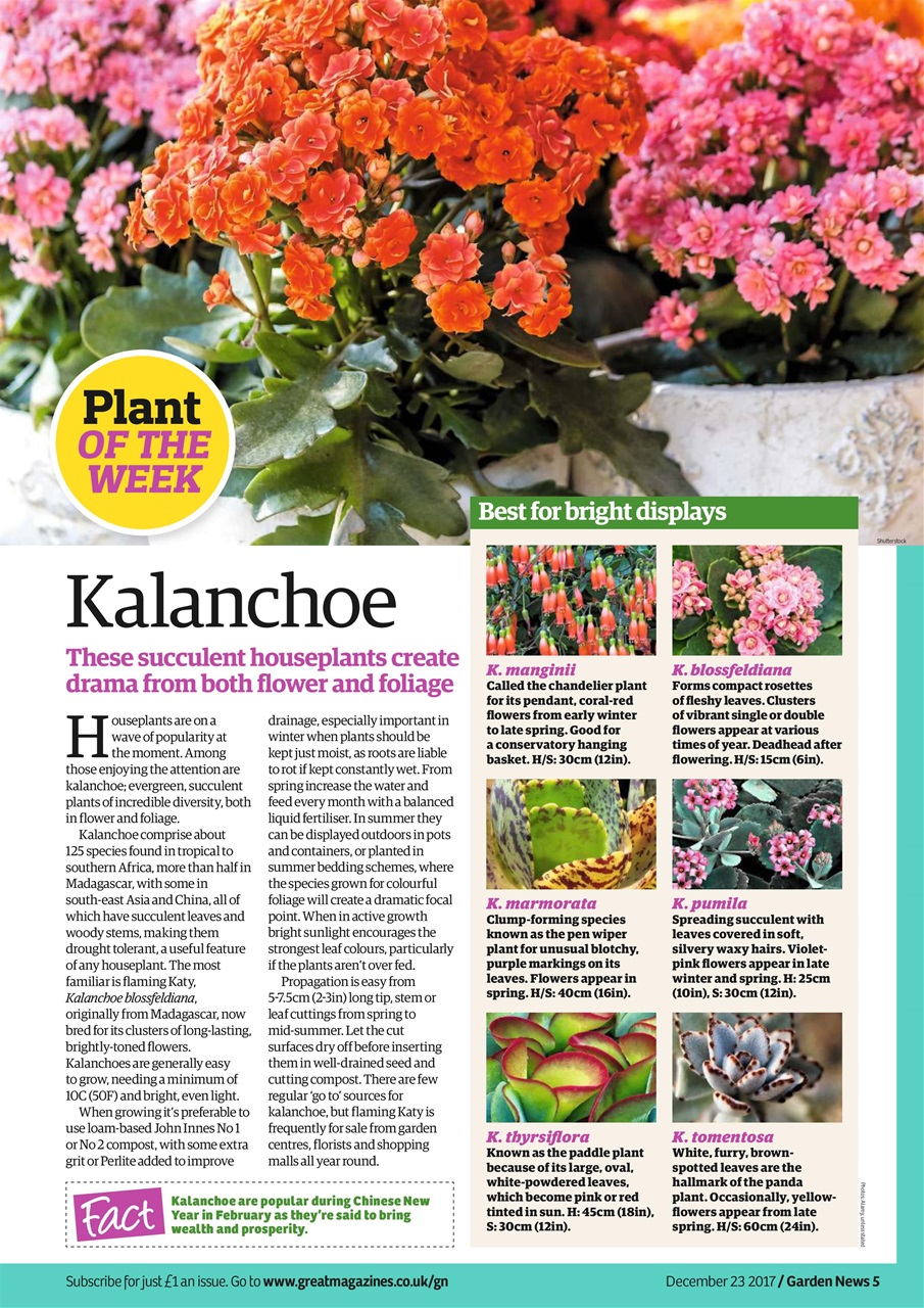 Garden News Preview Pages