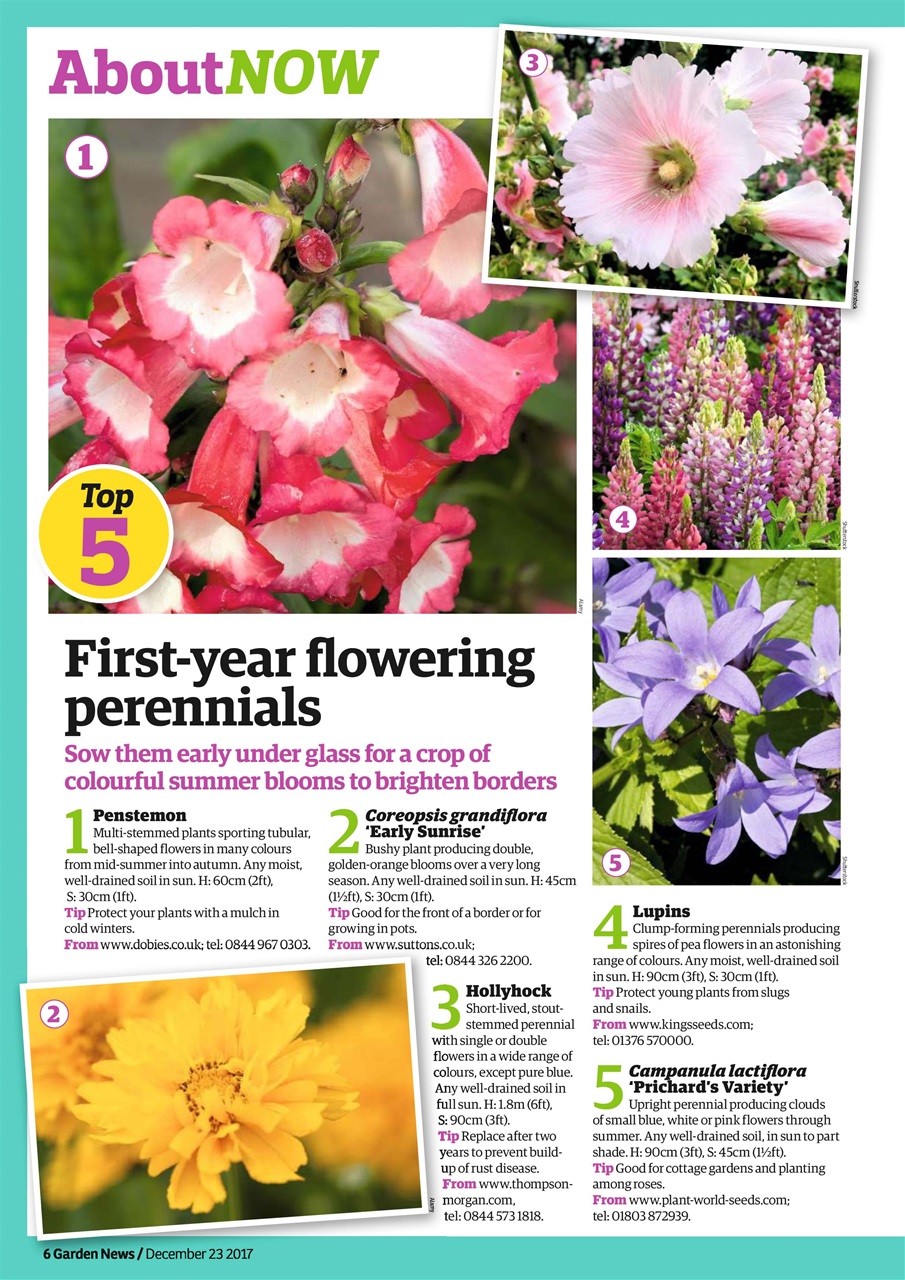 Garden News Preview Pages