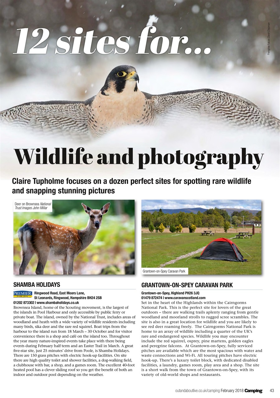 Camping Preview Pages