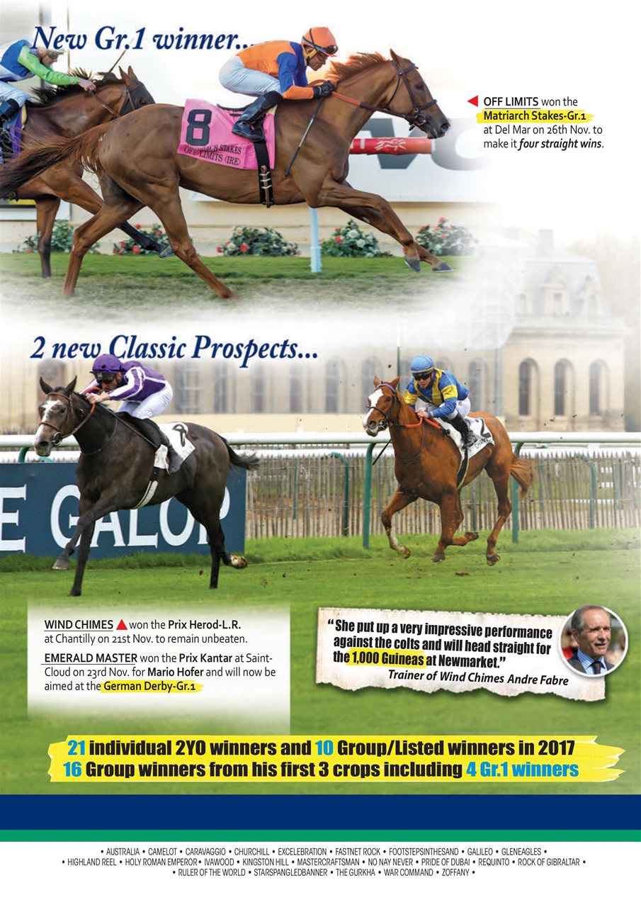 The Owner Breeder Preview Pages