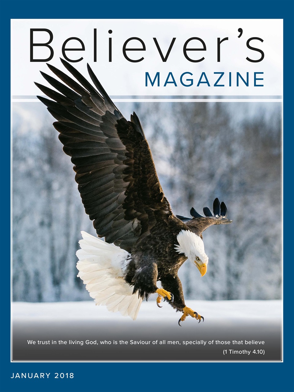 Believer Magazine Preview Pages