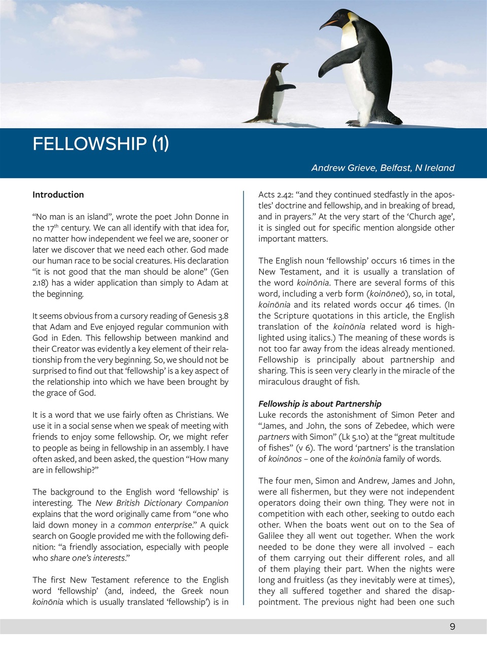 Believer Magazine Preview Pages