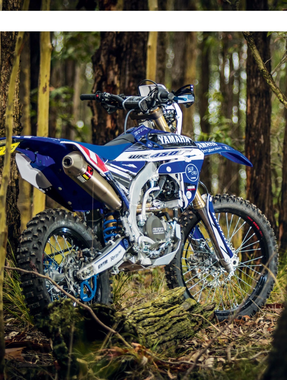 Trailrider Preview Pages