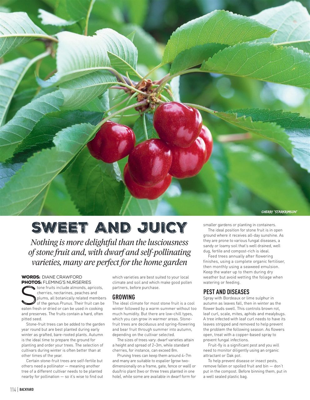 Backyard & Outdoor Living Preview Pages