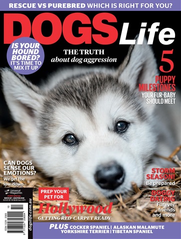 Dogs Life issue Jan Issue#147 2018