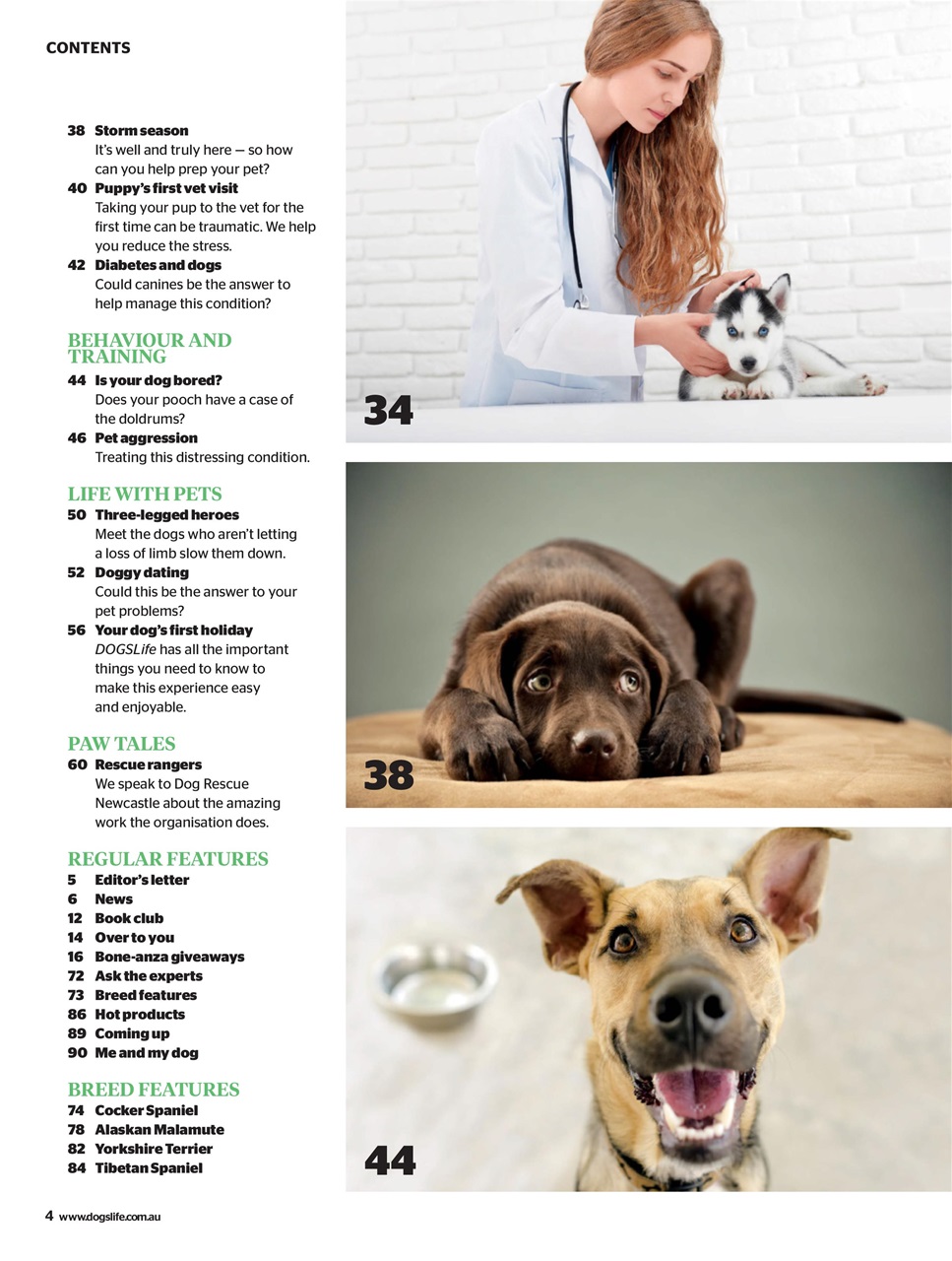 Dogs Life Preview Pages