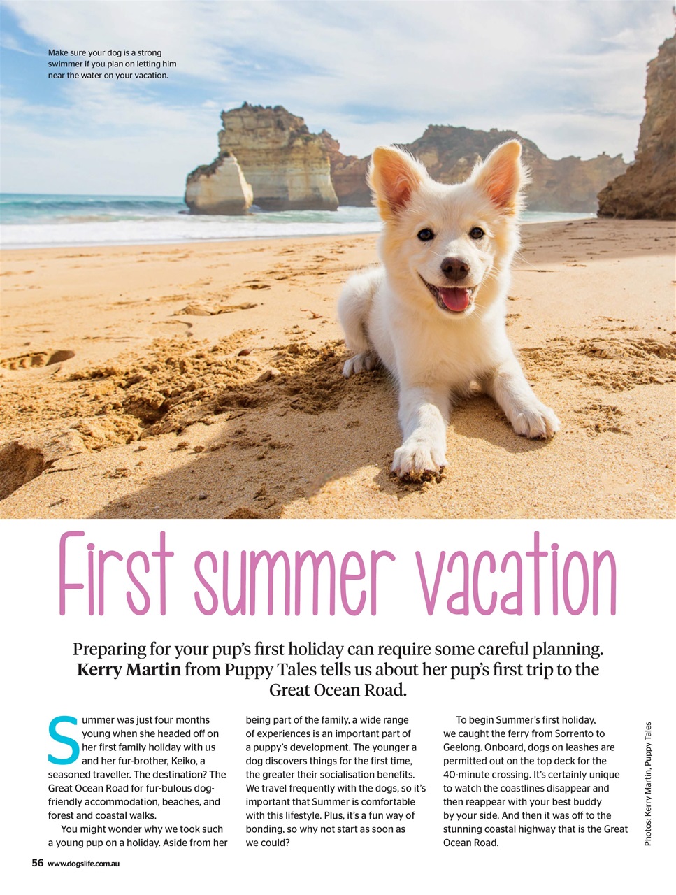 Dogs Life Preview Pages