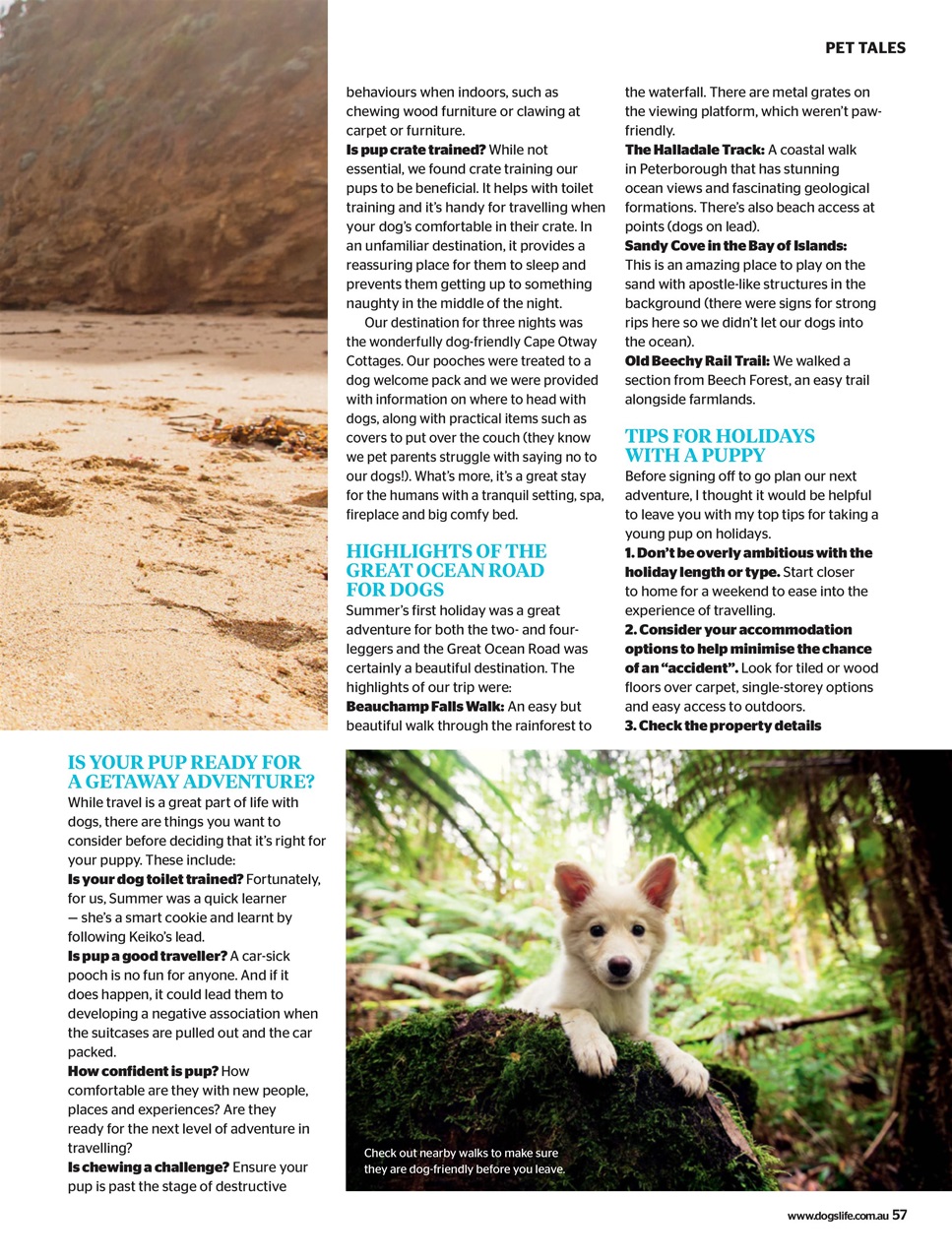 Dogs Life Preview Pages