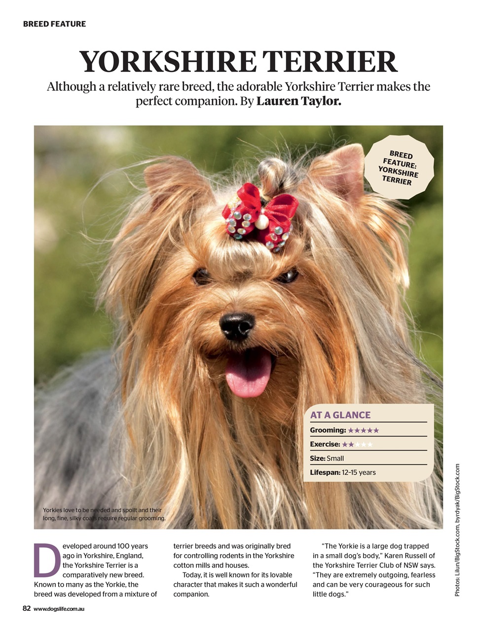 Dogs Life Preview Pages