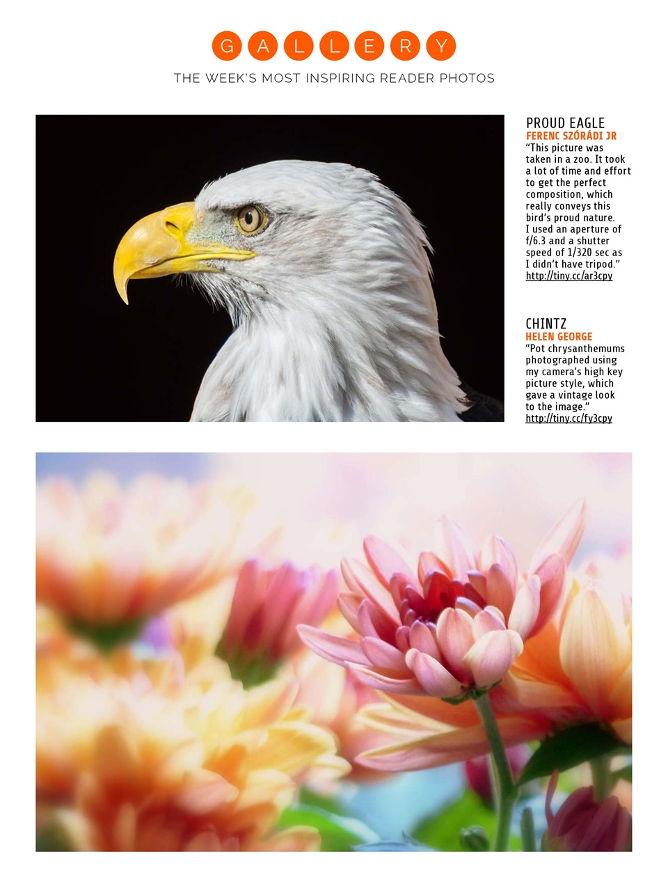 Photography Week Preview Pages