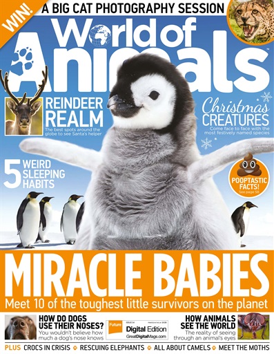 World of Animals issue 