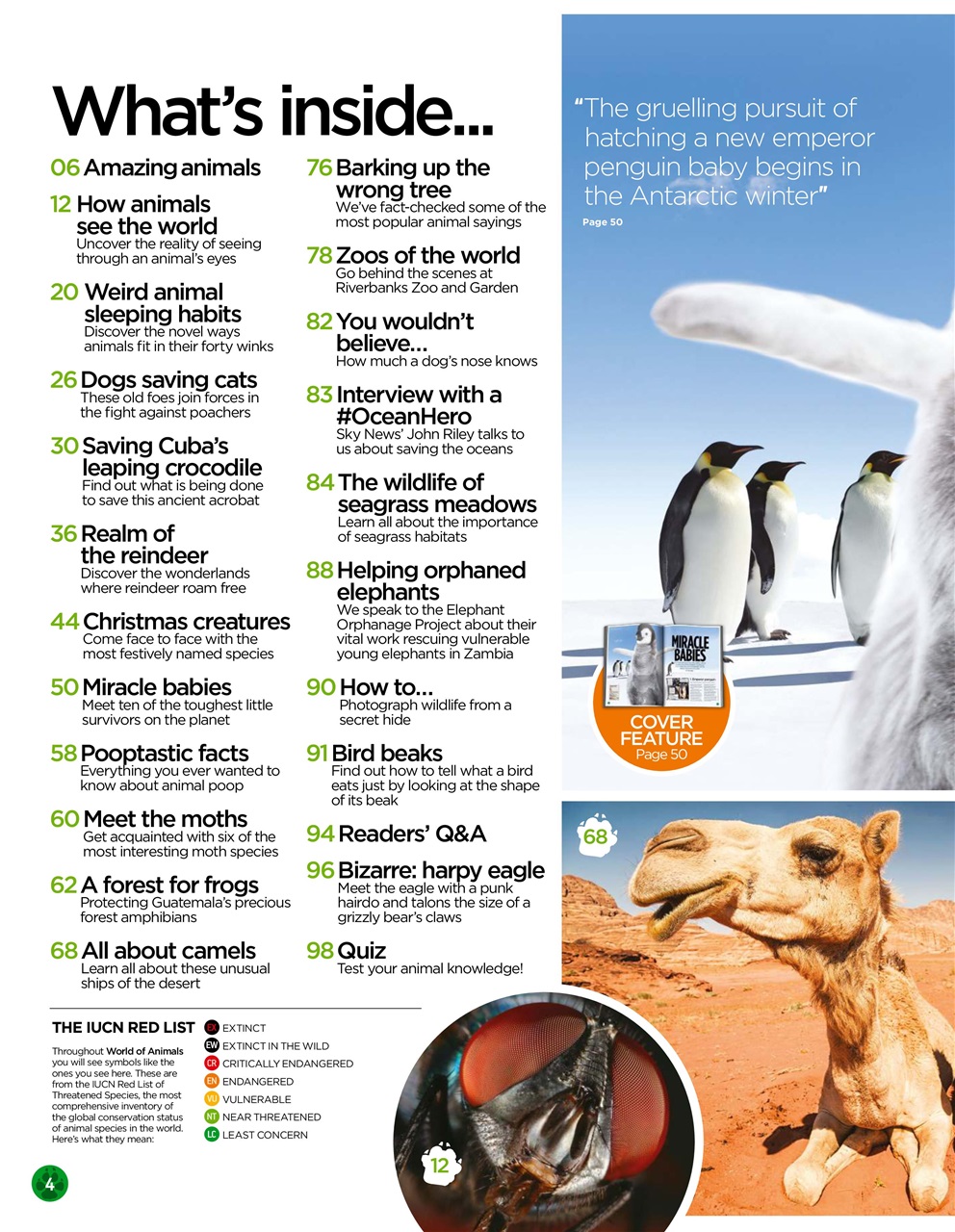 World of Animals Preview Pages