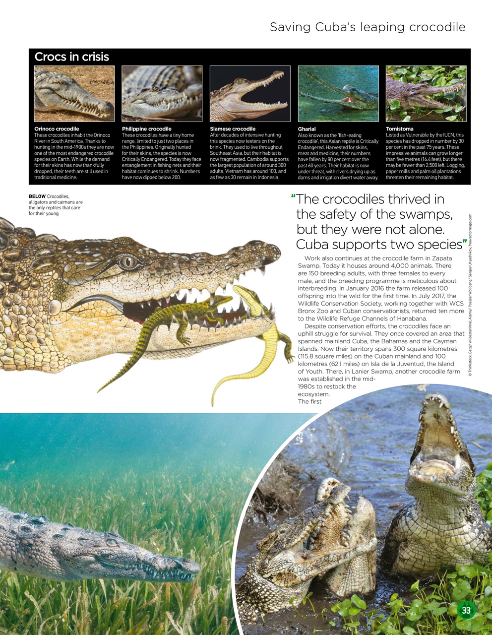 World of Animals Preview Pages